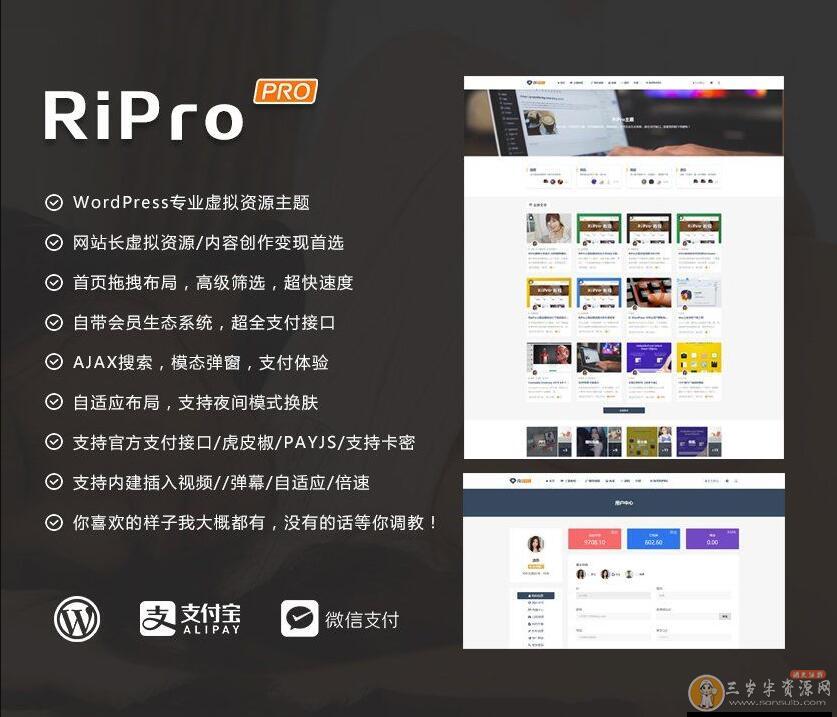 WordPress主题 RiPro 4.6 资源下载带美化包